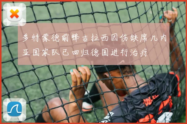 多特蒙德前锋吉拉西因伤缺席几内亚国家队已回归德国进行治疗