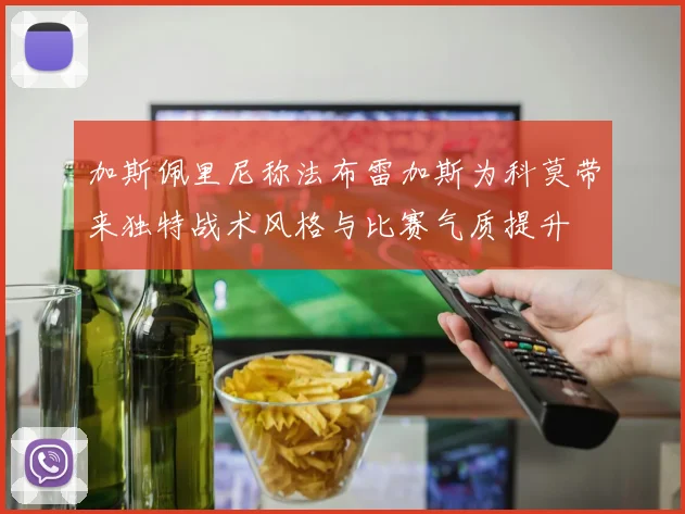 加斯佩里尼称法布雷加斯为科莫带来独特战术风格与比赛气质提升