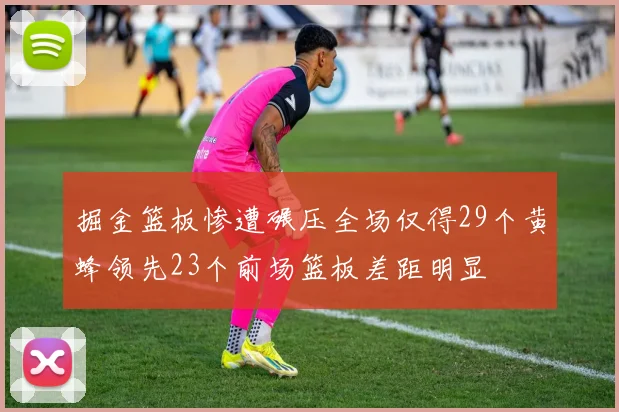 掘金篮板惨遭碾压全场仅得29个黄蜂领先23个前场篮板差距明显