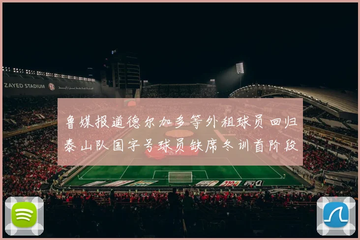 鲁媒报道德尔加多等外租球员回归泰山队国字号球员缺席冬训首阶段
