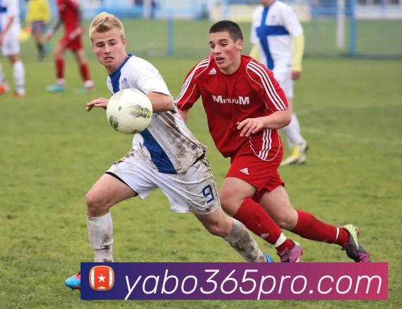 亚博体育发展历程